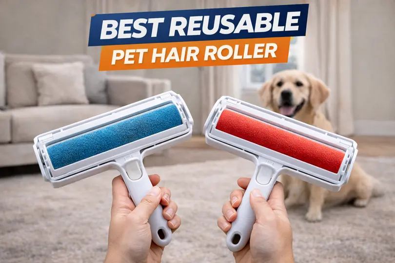 reusable pet hair roller